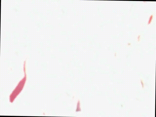 Gallery gif 19
